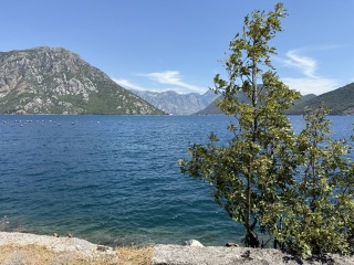 Zatoka Kotorska
